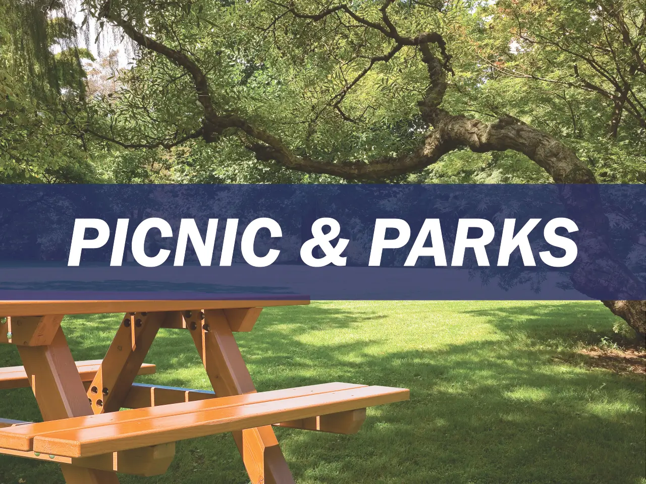 Picnic & Parks Survey