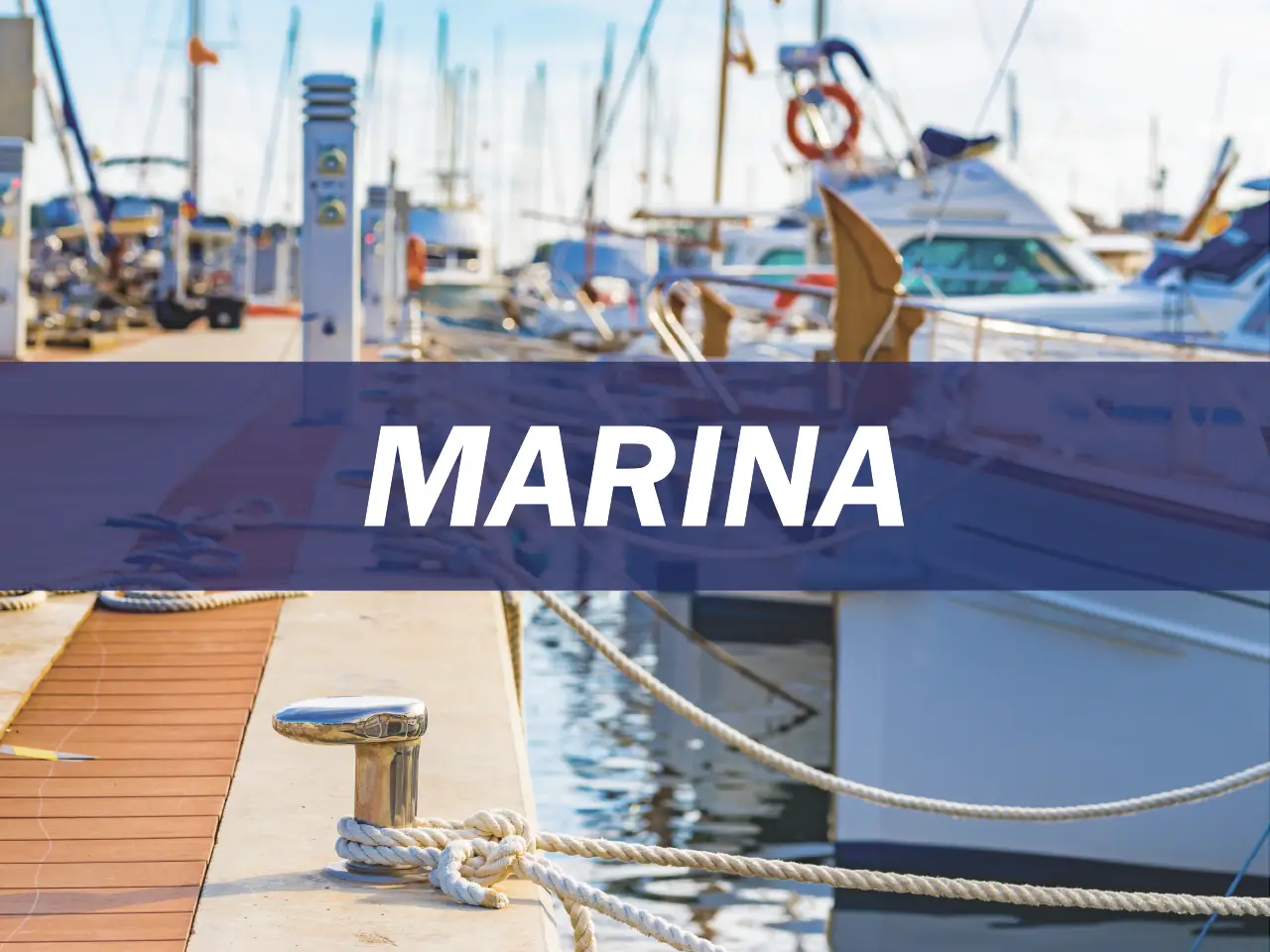 Marina Survey